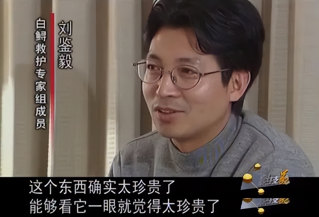 网红女主播吃大白鲨调查后续,网红被爆料吃大白鲨