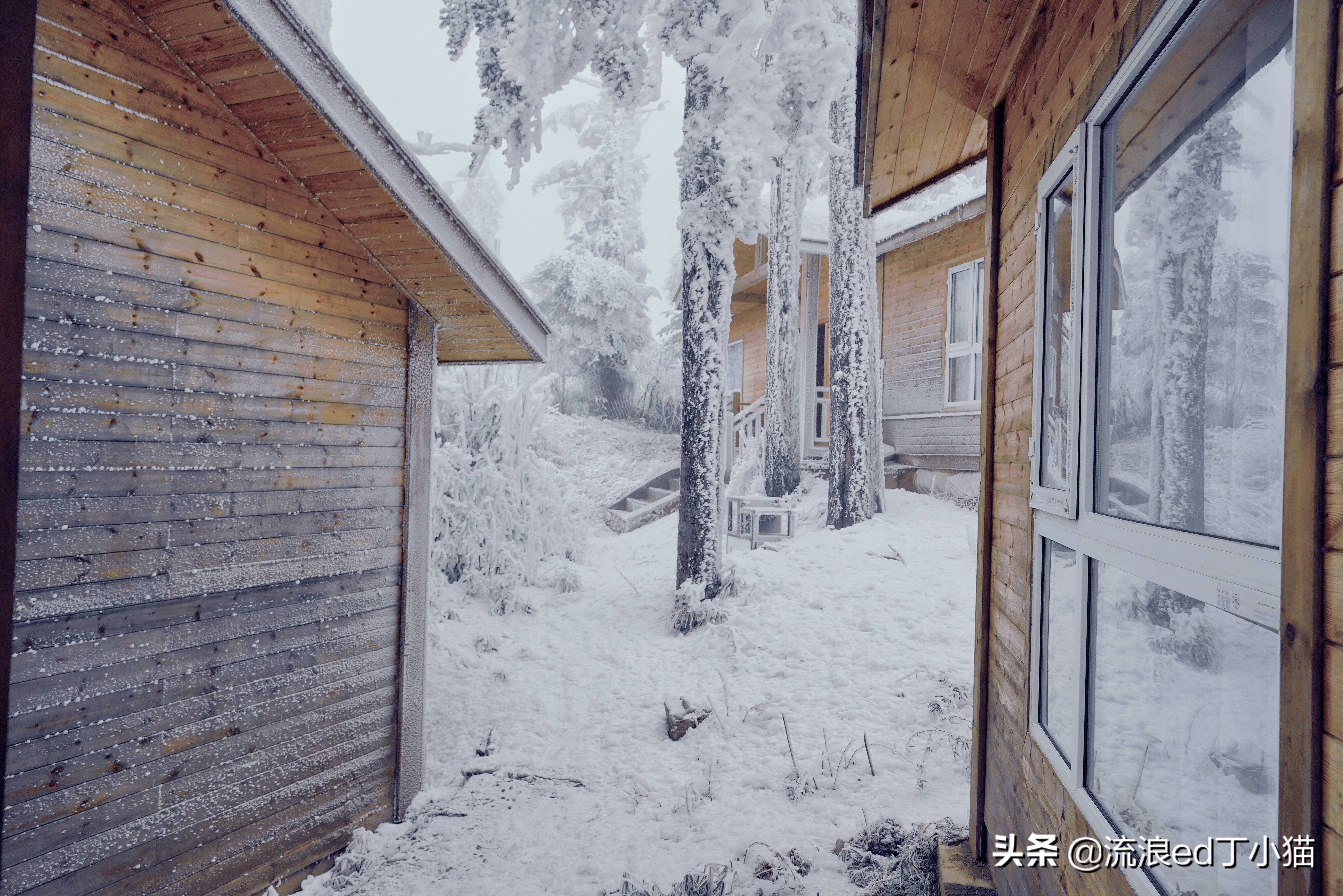 四川能玩滑雪的雪山,王岗坪贡嘎滑雪场