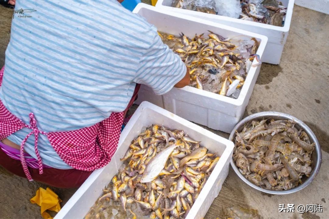 <html>
<head><title>502BadGateway</title></head>
<body>
<center><h1>502BadGateway</h1></center>
<hr><center>nginx</center>
</body>
</html>
<!--apaddingtodisableMSIEandChromefriendlyerrorpage-->
<!--apaddingtodisableMSIEandChromefriendlyerrorpage-->
<!--apaddingtodisableMSIEandChromefriendlyerrorpage-->
<!--apaddingtodisableMSIEandChromefriendlyerrorpage-->
<!--apaddingtodisableMSIEandChromefriendlyerrorpage-->
<!--apaddingtodisableMSIEandChromefriendlyerrorpage-->
