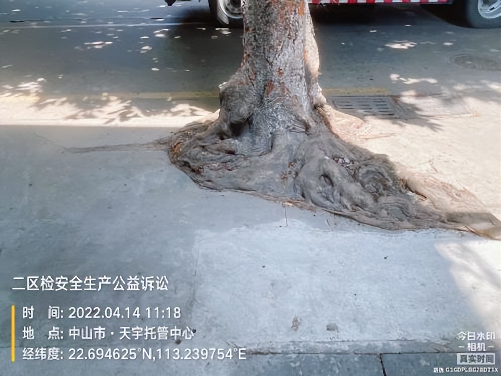 检察公益诉讼发言,市人大代表点赞我院公诉工作