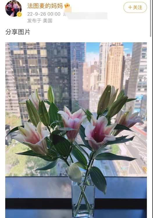 李咏妻子哈文家庭背景显赫,李咏去世后他的妻子哈文怎么样了