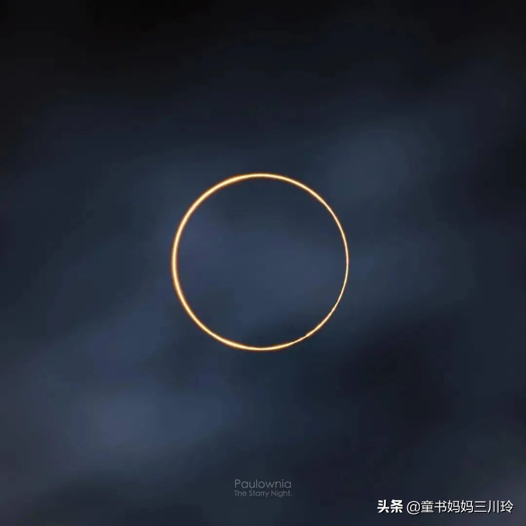 成绩不好,玩跑酷、搞摄影获大奖,全靠自学,这孩子经历了什么?