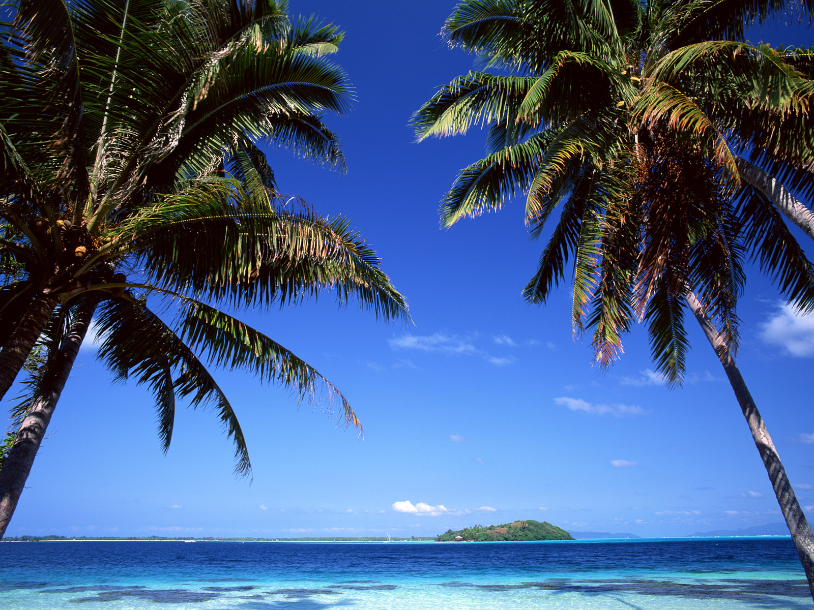 海边海岛风景图片大全,美丽的海岛海滩图片