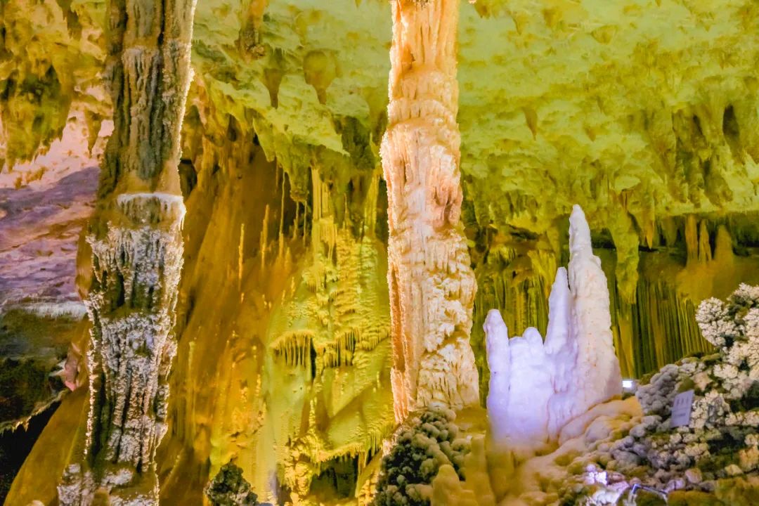 广西巴马长寿之乡,河池巴马长寿之乡原因