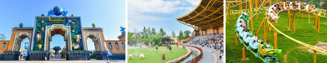 耐克比赛2024赛程,2024年耐克联赛赛程