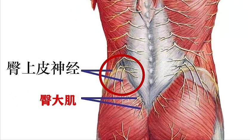 真正好的腰椎间盘突出治疗方法,腰椎间盘突出不做有效治疗的后果