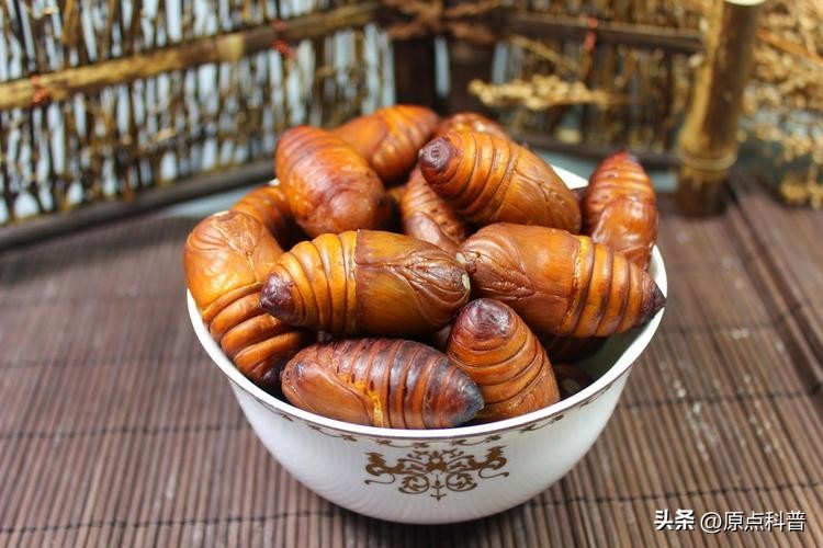 中国人吃了十大奇葩食物,盘点我们中国十大残忍美食