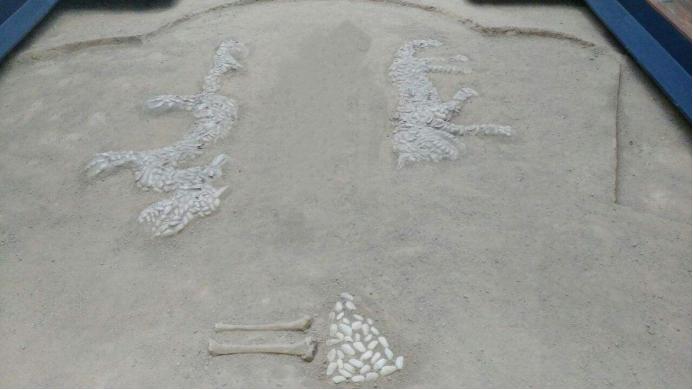 虎年虎运虎虎生威下一句,十二生肖虎虎生威虎图片