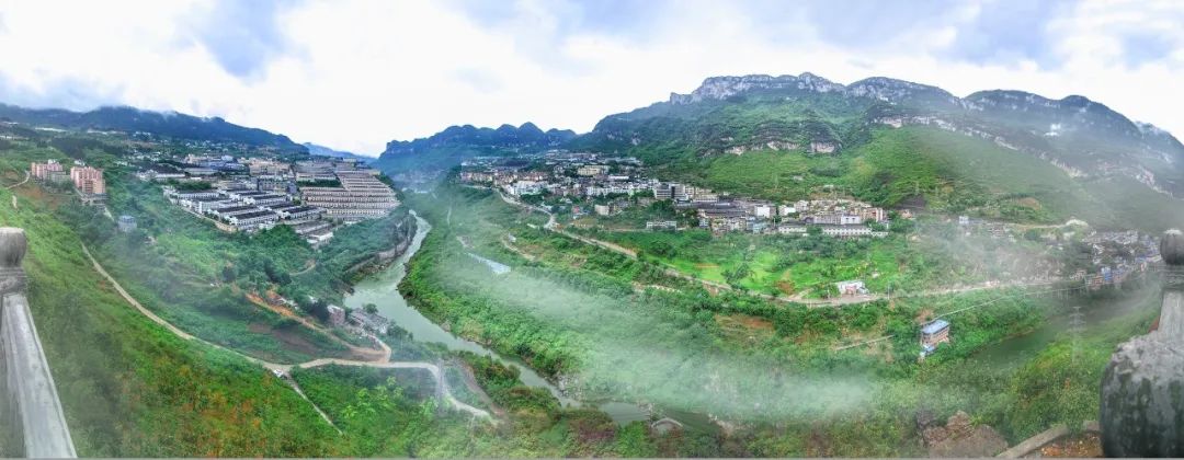 拐枣可以泡水和泡酒,拐枣与肉桂泡酒功效