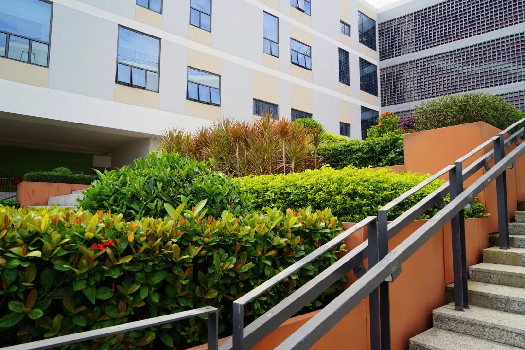 大学校园绿化设计,现代校园绿化规划设计