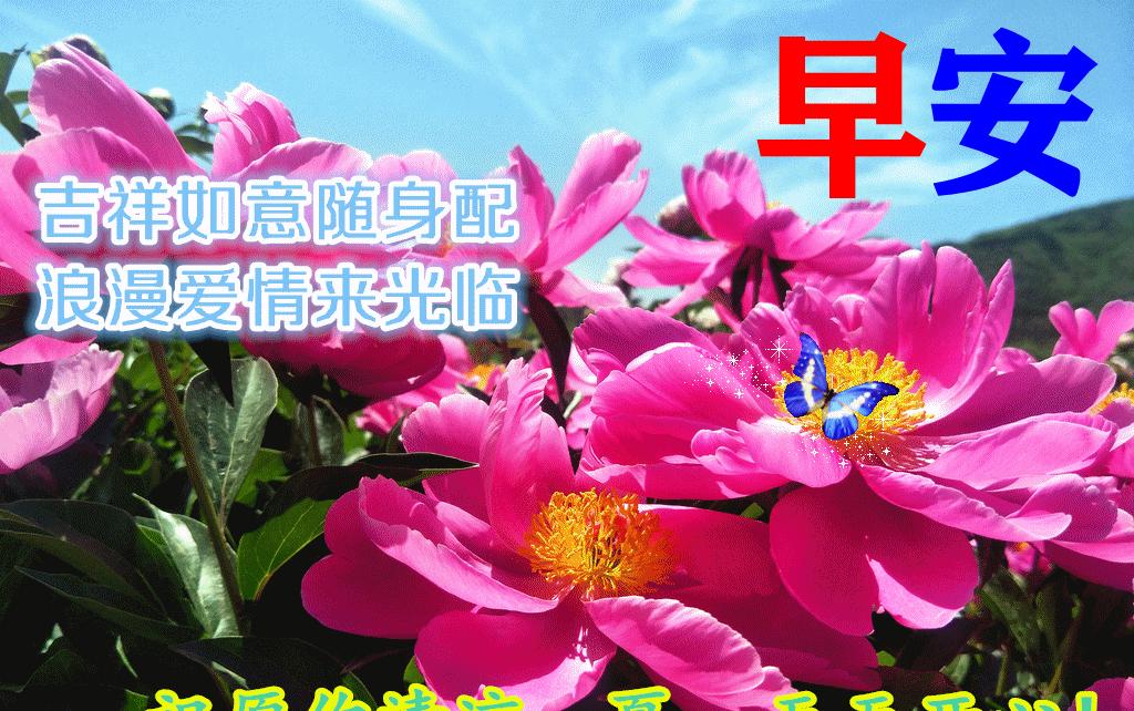 金价暴跌国际金价,金价暴跌场面