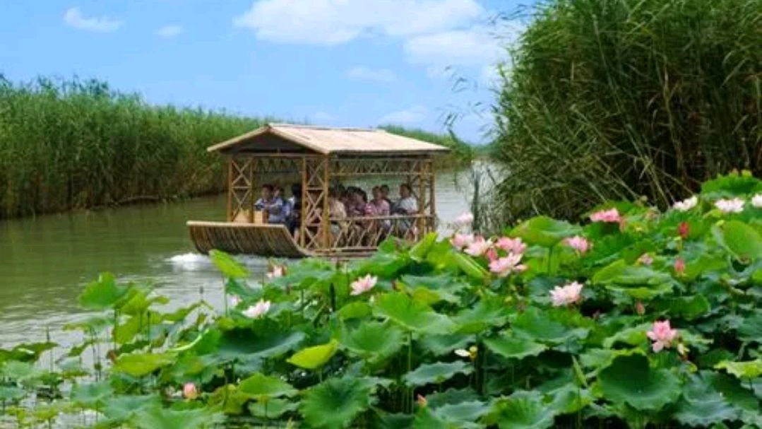 江苏的25个5a景区是哪些,江苏免费景区一览表2022