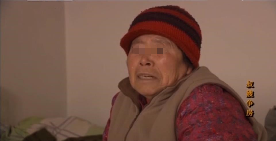 2010年,城里小叔争夺乡下大嫂的住宅,大嫂的一番话让人寒心