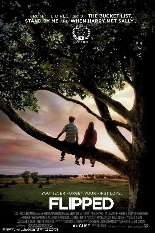 豆瓣灾难片高分电影榜,豆瓣高分电影top100