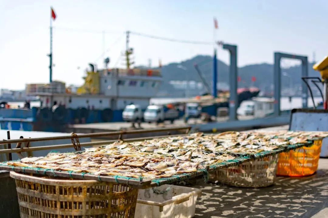 舟山各个岛旅游排名,千岛之城旅游攻略