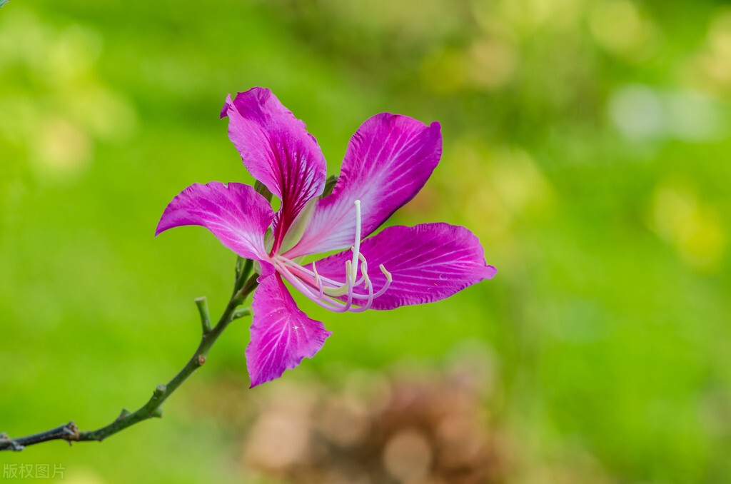 一个人是否爱你冷一下就知道了,男人爱不爱你其实是能感受出来的