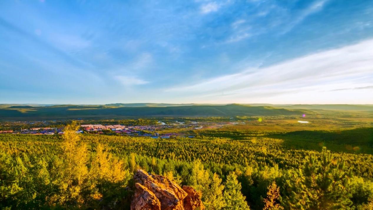 图强林业局活动,图强林业局地图