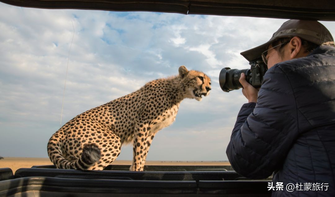 跟随“中国狮子王”，到坦桑看绝色非洲
