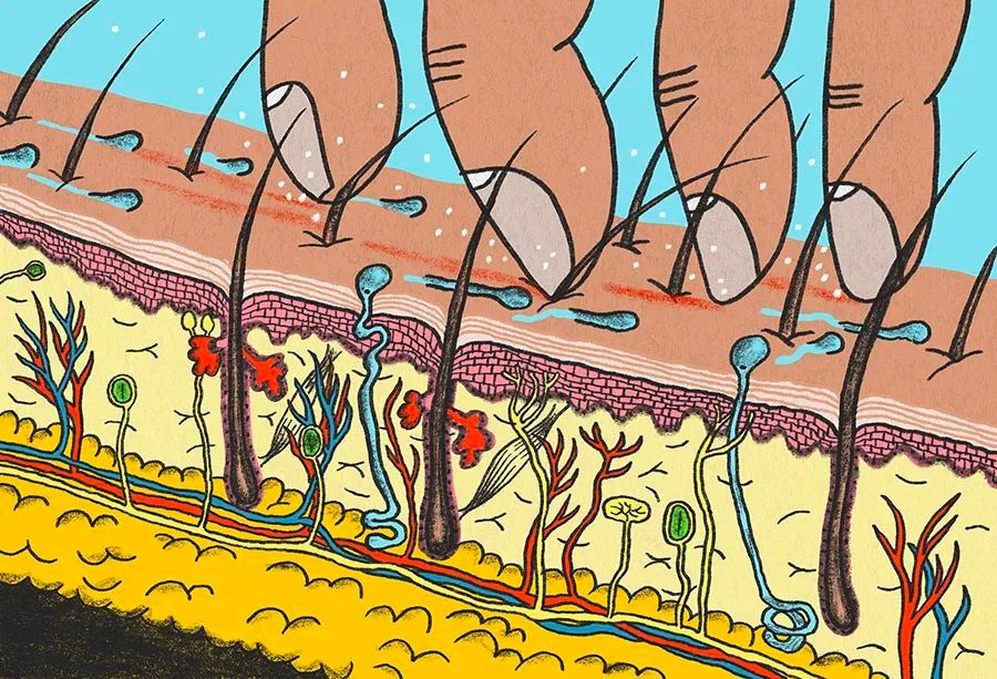 皮肤瘙痒抓破很难愈合什么原因,抓破瘙痒部位会好得快吗