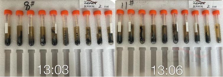 蛋鸡葡萄球菌感染症状,产气荚膜梭菌的感染条件