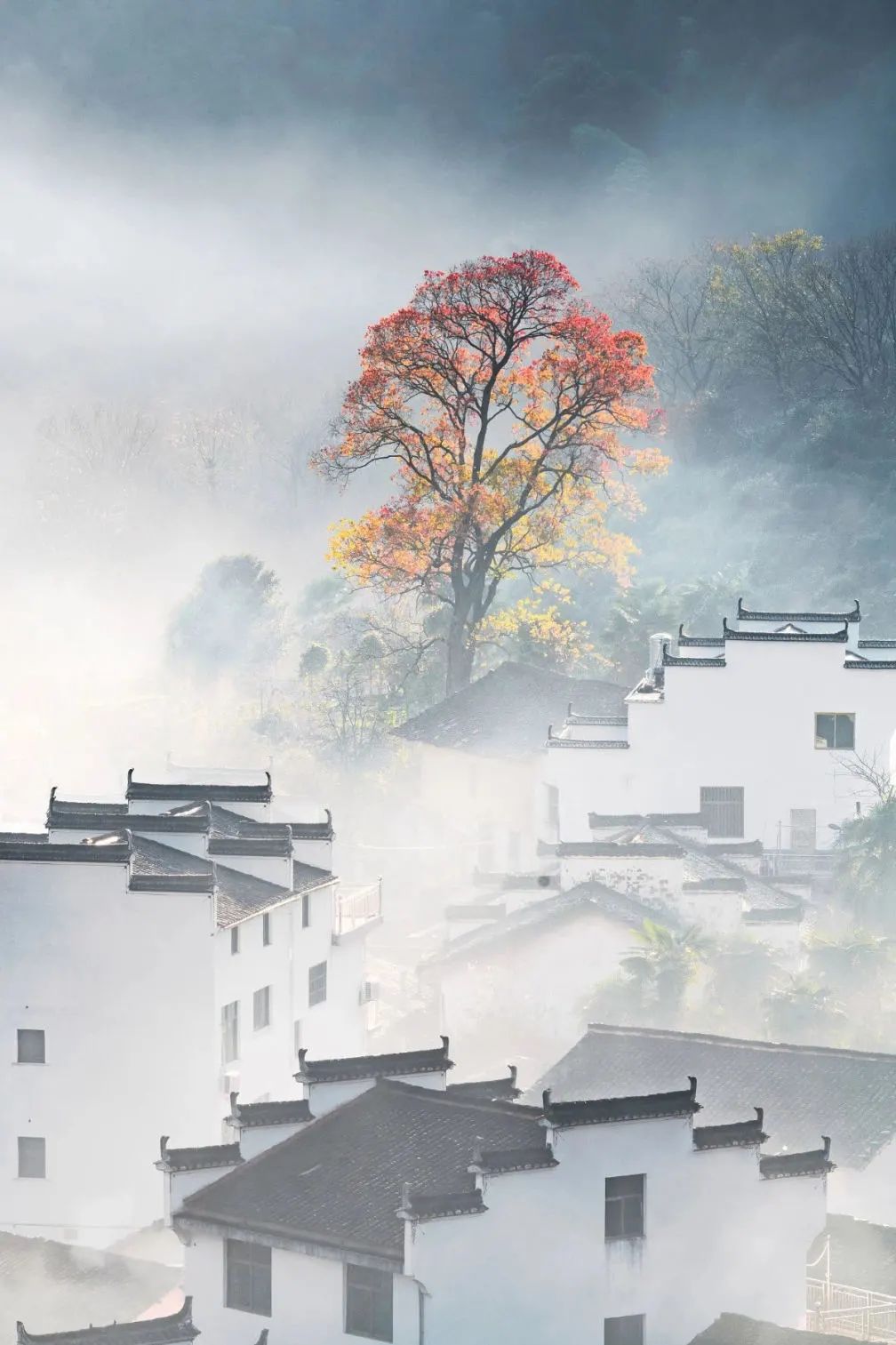 宏村小众景区,宏村山野小院