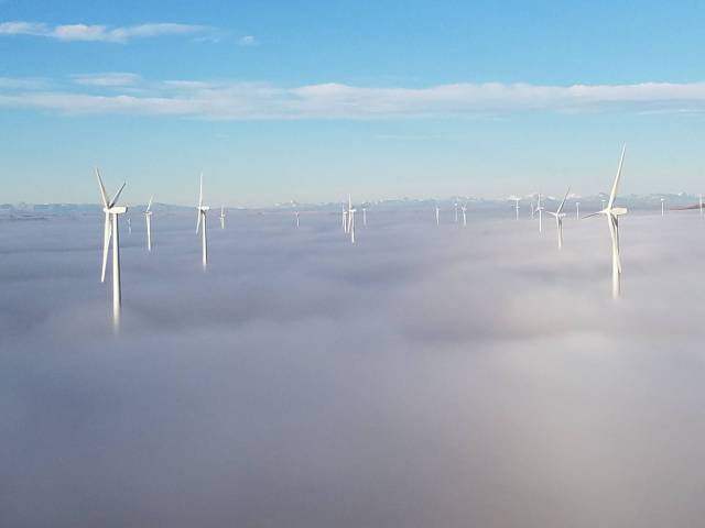 79个难得一见照片，飞机释放烟雾弹，逃票的女乘客，飞翔的蝙蝠