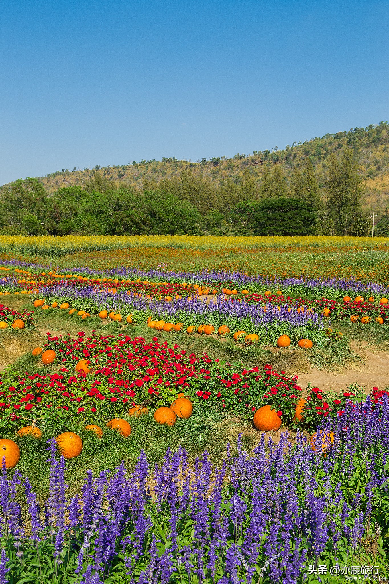 最新的包头市旅游景点游览攻略,包头最新旅游景点