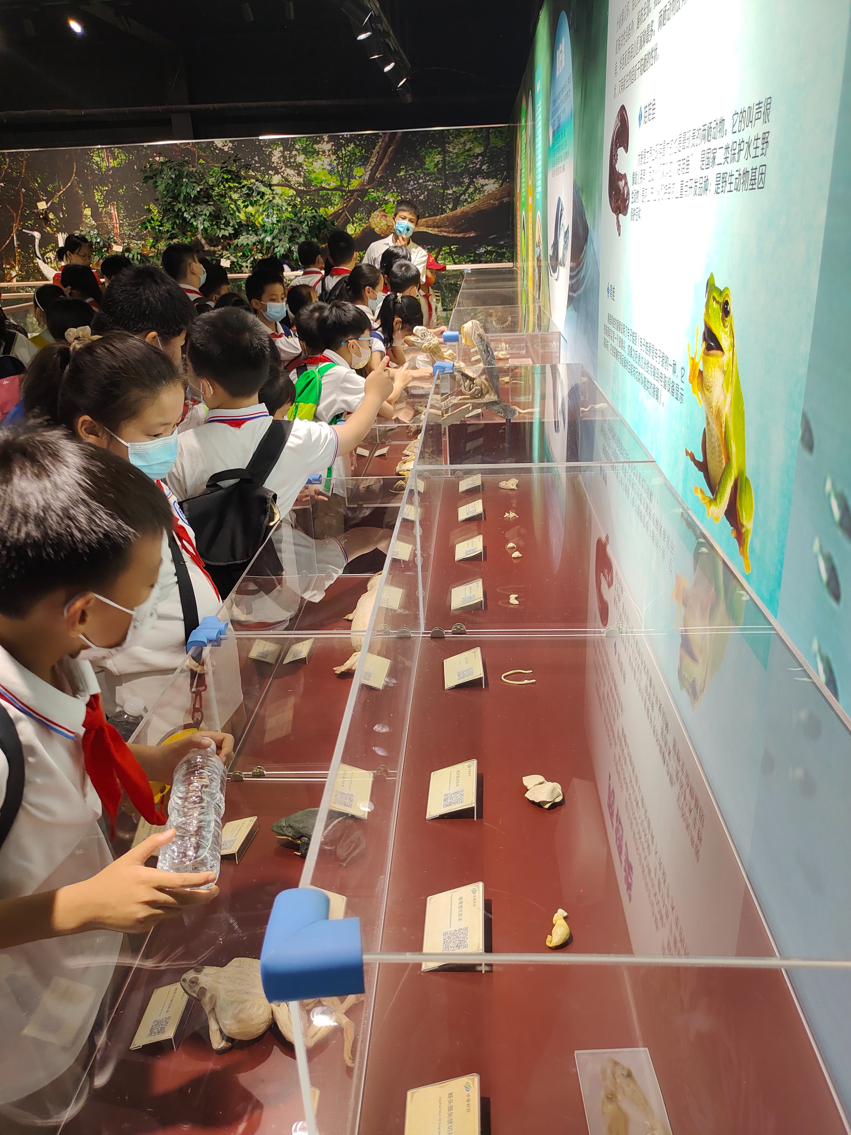 郑州冬季周末遛娃好去处,郑州遛娃好去处排行榜