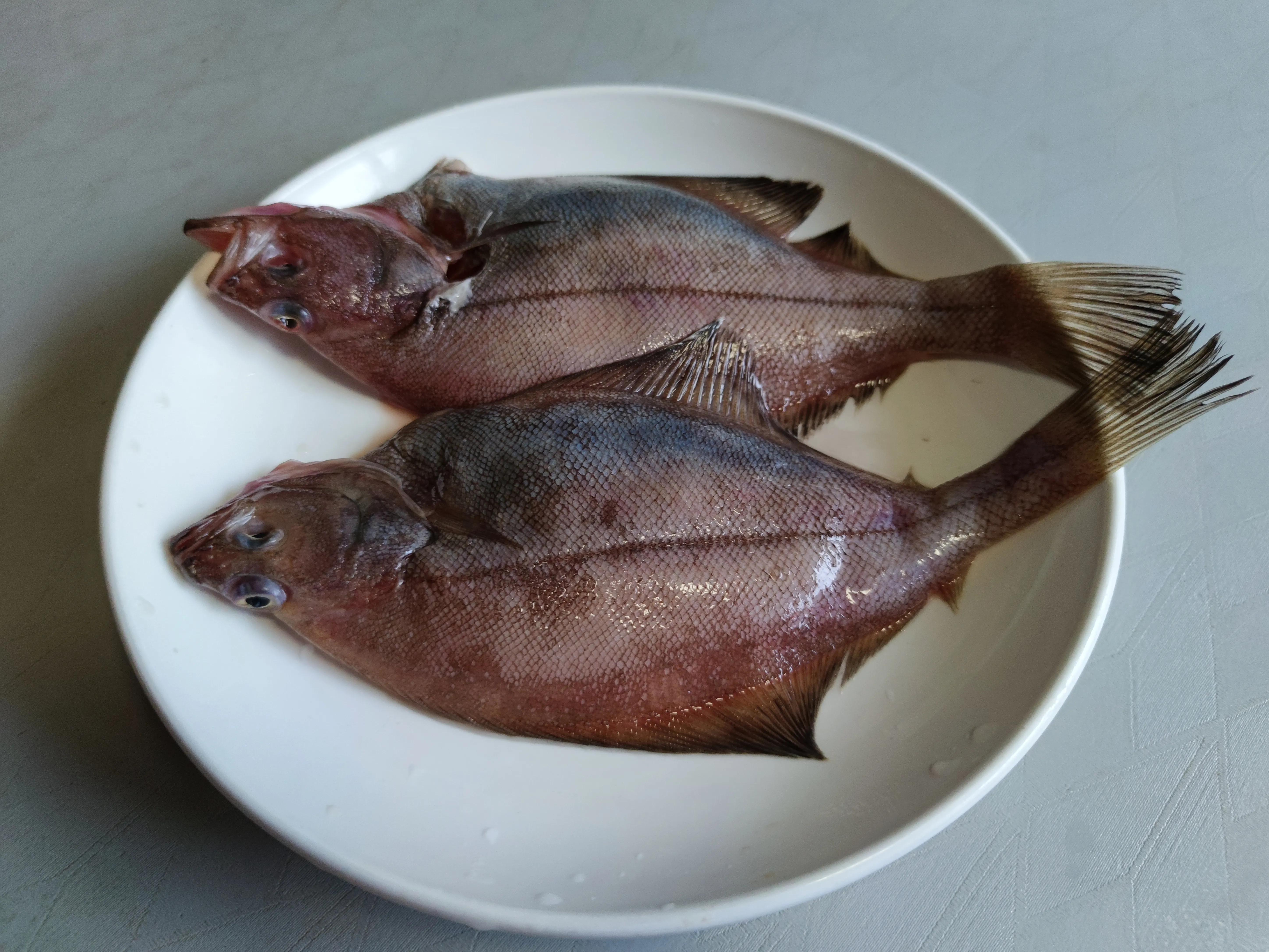 这个季节野生的海鱼有哪些,现在季节吃的海鱼有什么品种