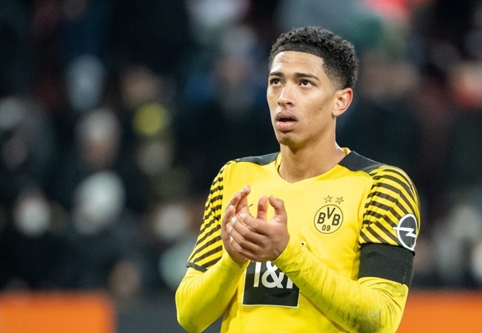 多特蒙德1亿买哈兰德,多特蒙德买入哈兰德