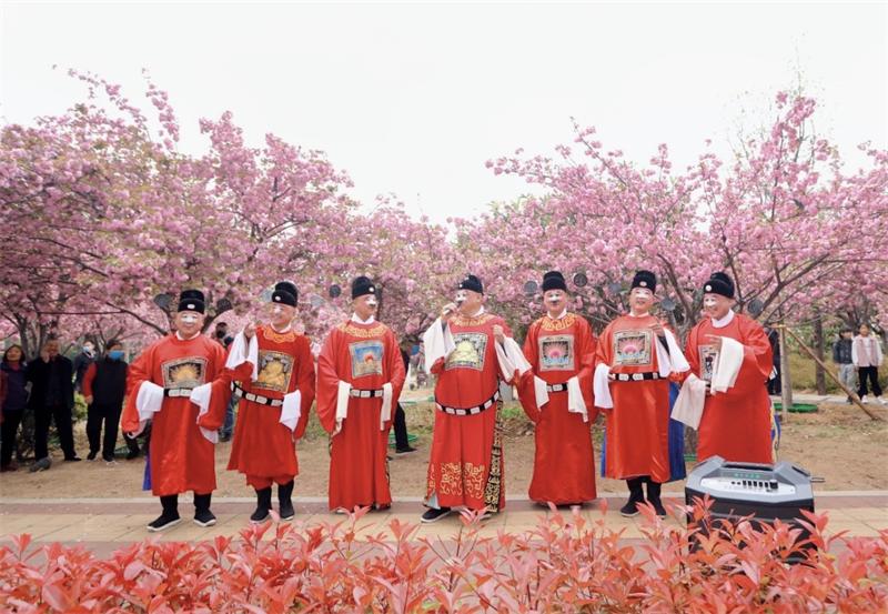 中国鹤壁樱花文化节航拍,2020鹤壁樱花文化节开幕吗