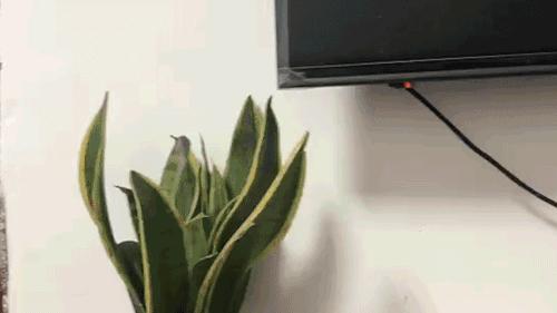 酒店里最难找到的摄像头在哪里,酒店顶灯被发现藏摄像头