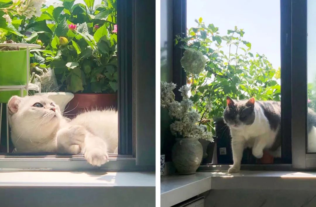 封控48天，*靠我**7㎡储藏室实现物资自由，安全感十足