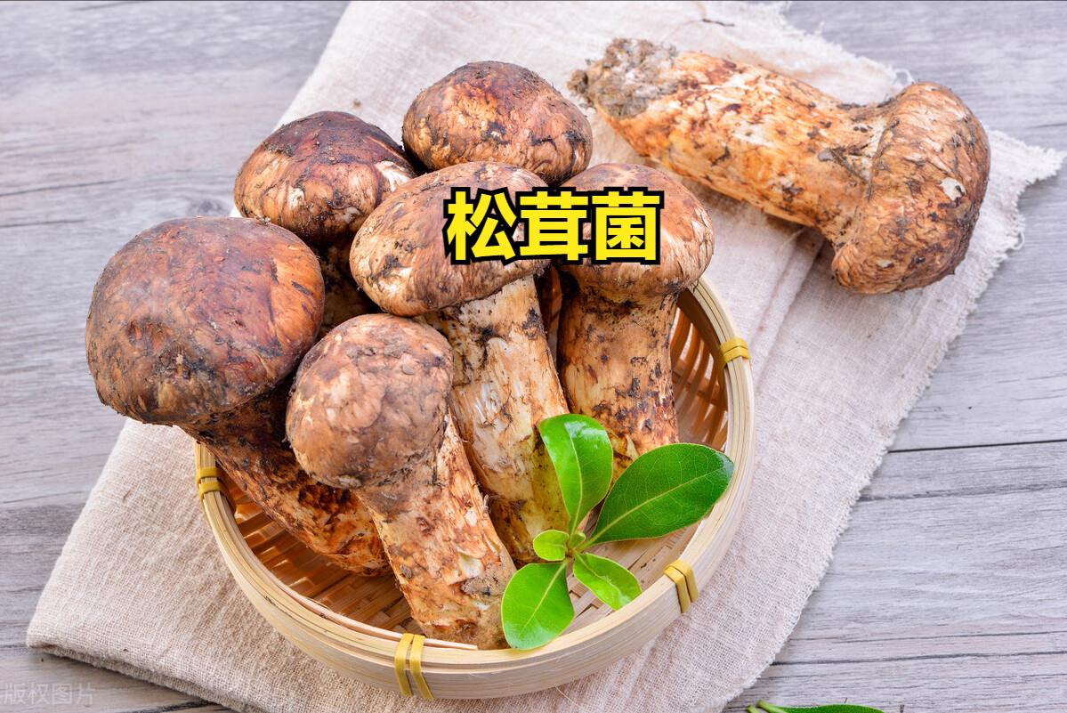 云南公务员待遇性价比,云南省各地市公务员待遇排行榜