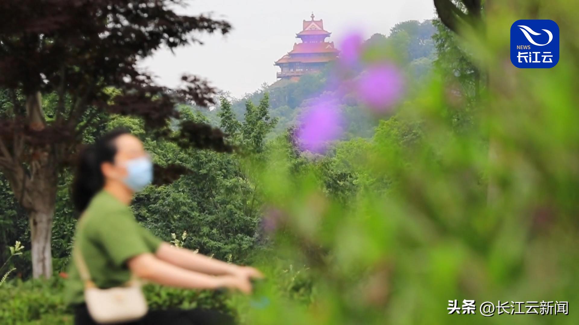 低碳生活方式有哪些图片,打开低碳生活的正确方式