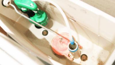 这4物备受日本人喜爱，纷纷来中国疯抢，比中国大妈还恐怖！