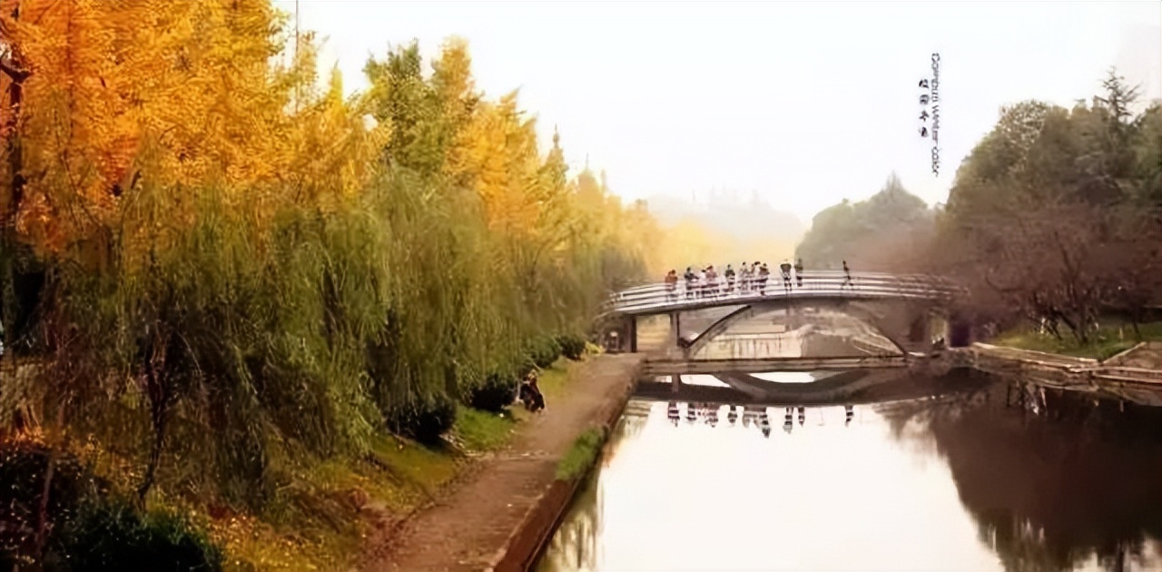 电力类大学,重庆电力类大学