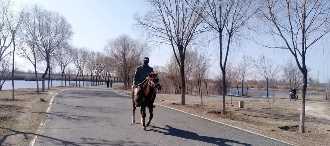 原创|2022迟到的春天之约