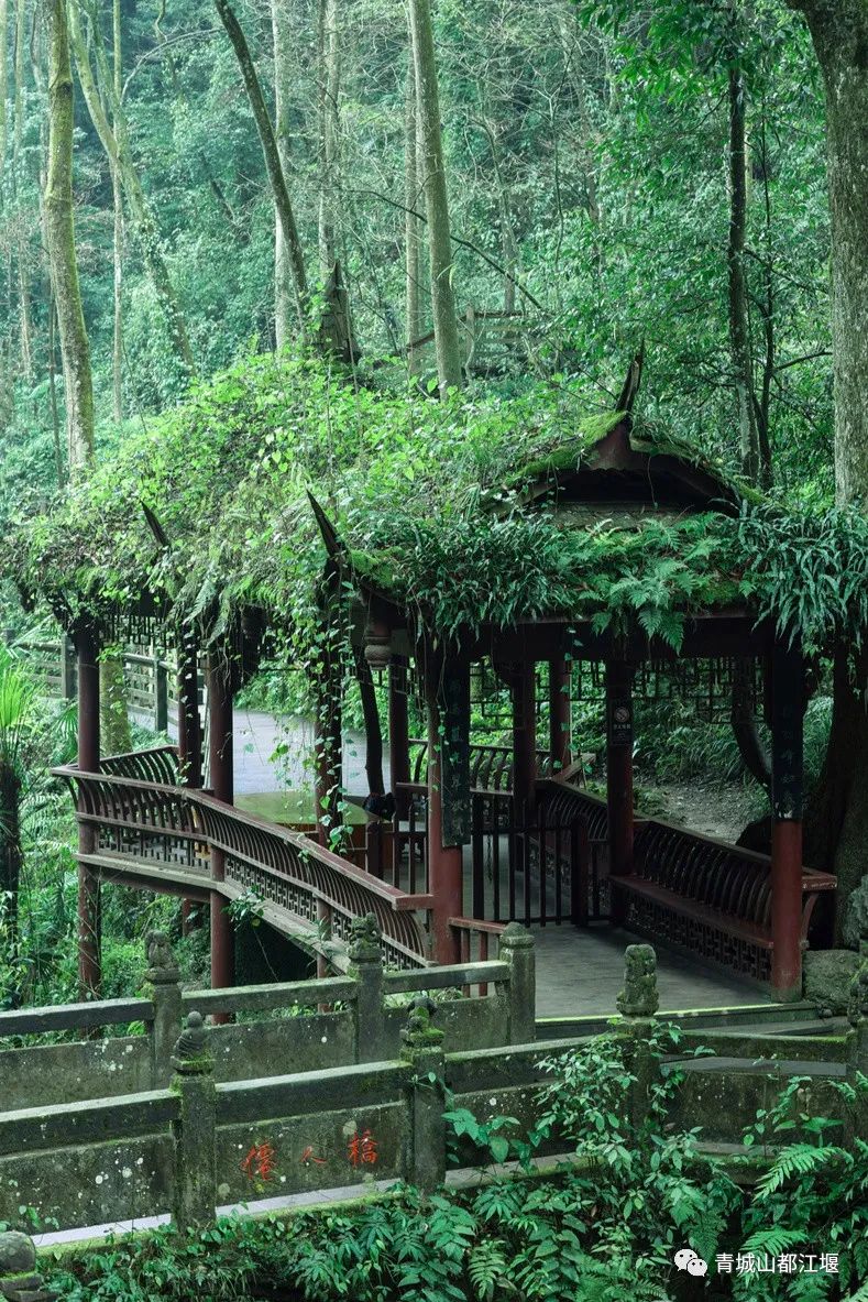 好评率99%！这个深得“特种兵”们青睐的小镇，深山觅静寺、秘境探幽意，私藏了整个夏日的色彩～