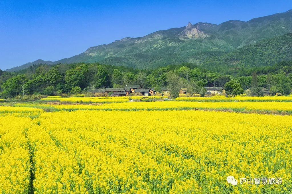 这个七月,这个七月朗读视频