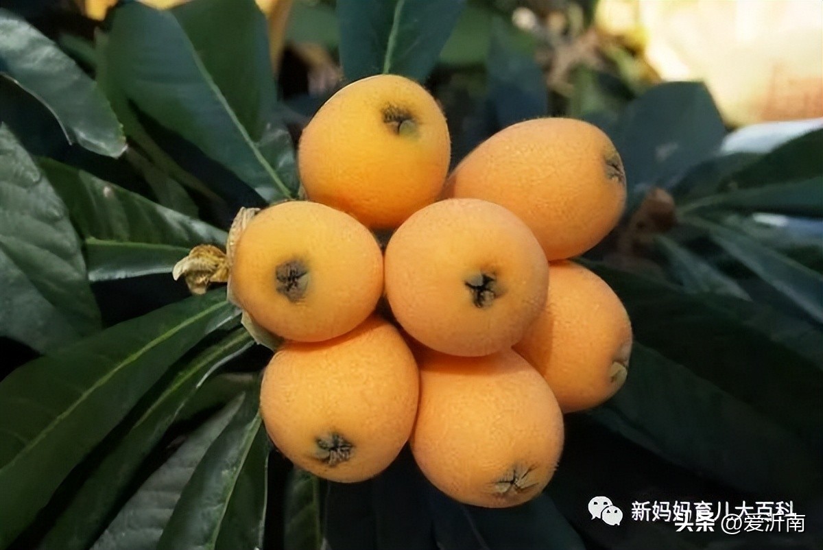 孕妈孕期一定不能碰的两种水果,最适合孕妇前三个月吃的6种水果