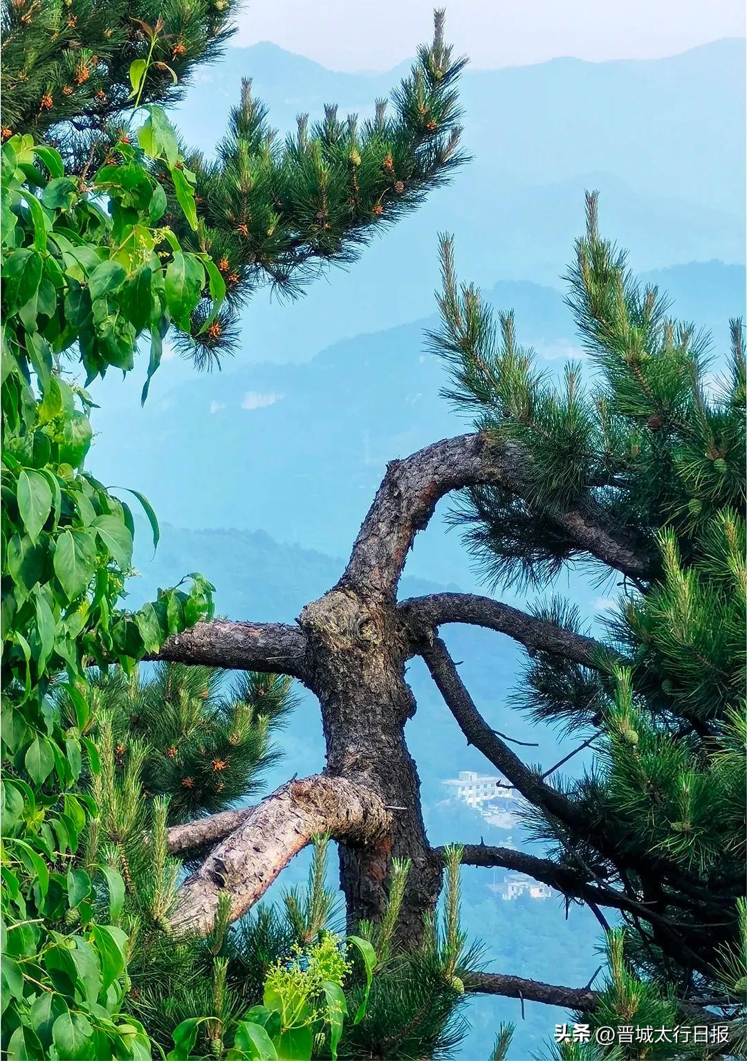 晋城的王莽岭,八百里太行王莽岭