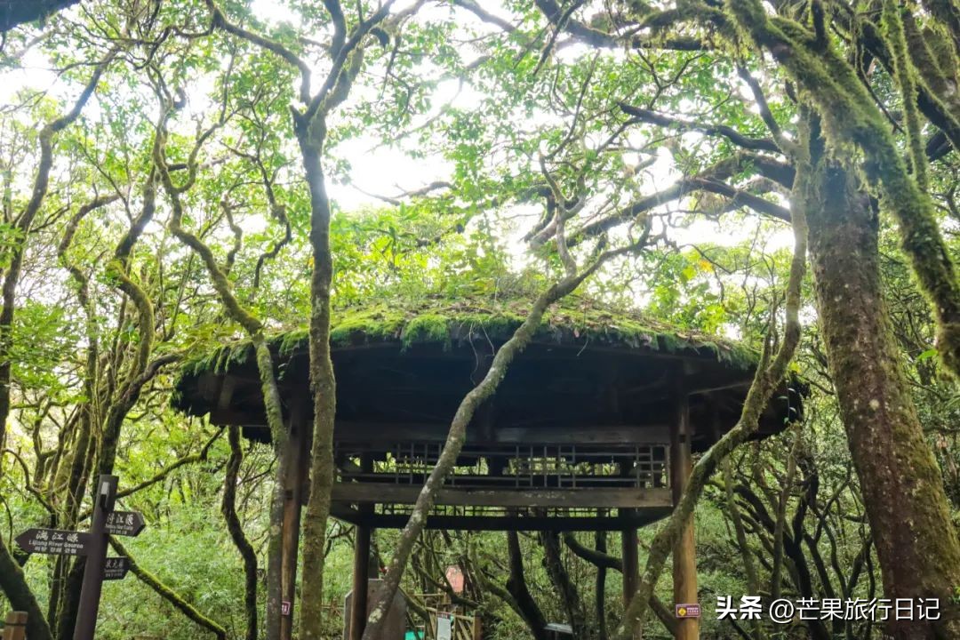 广州周边哪座山风景最好,广东和桂林风景相似的地方