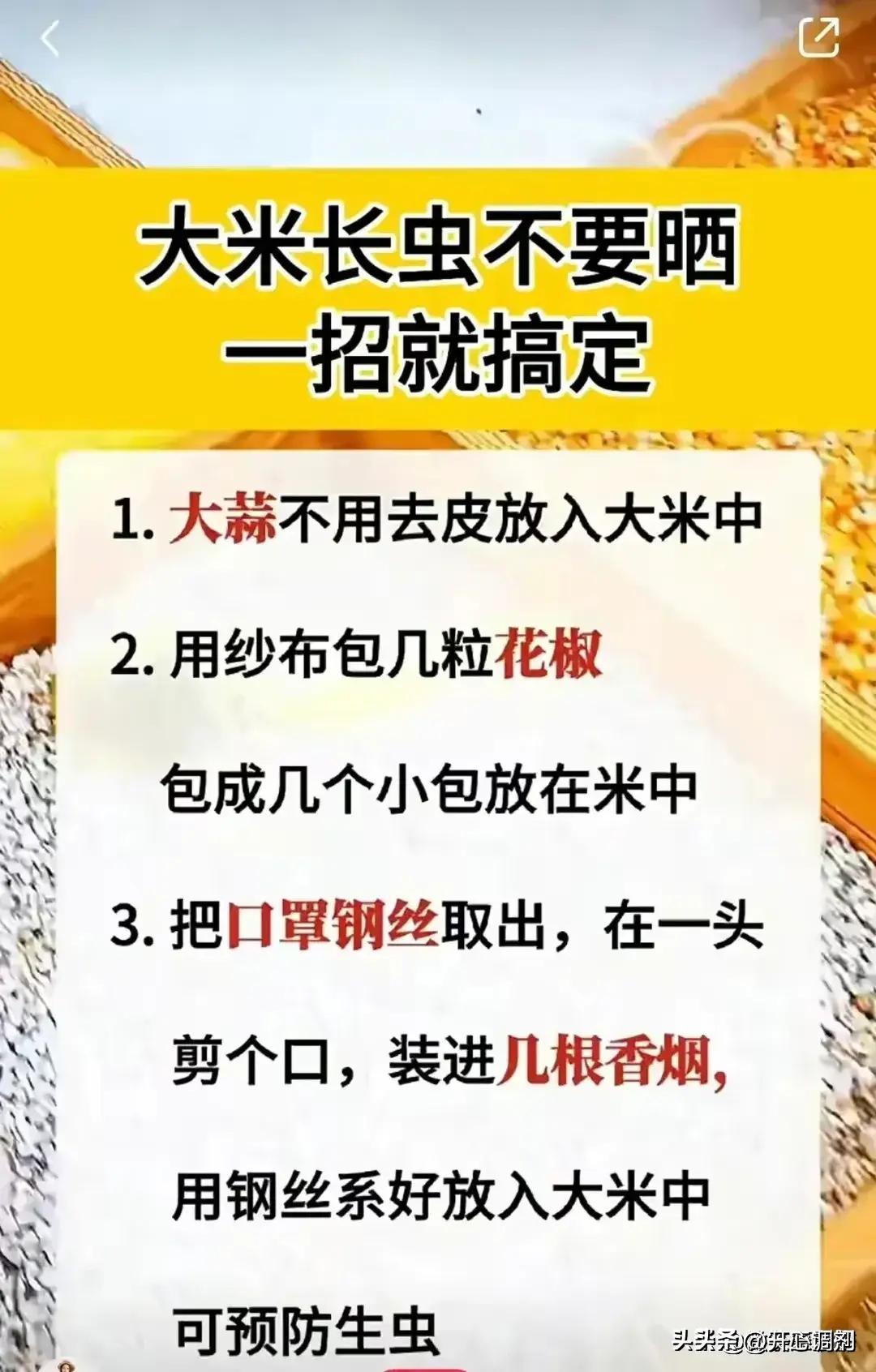 哪种大米最好吃排行第一,全国最好吃的大米排名知乎