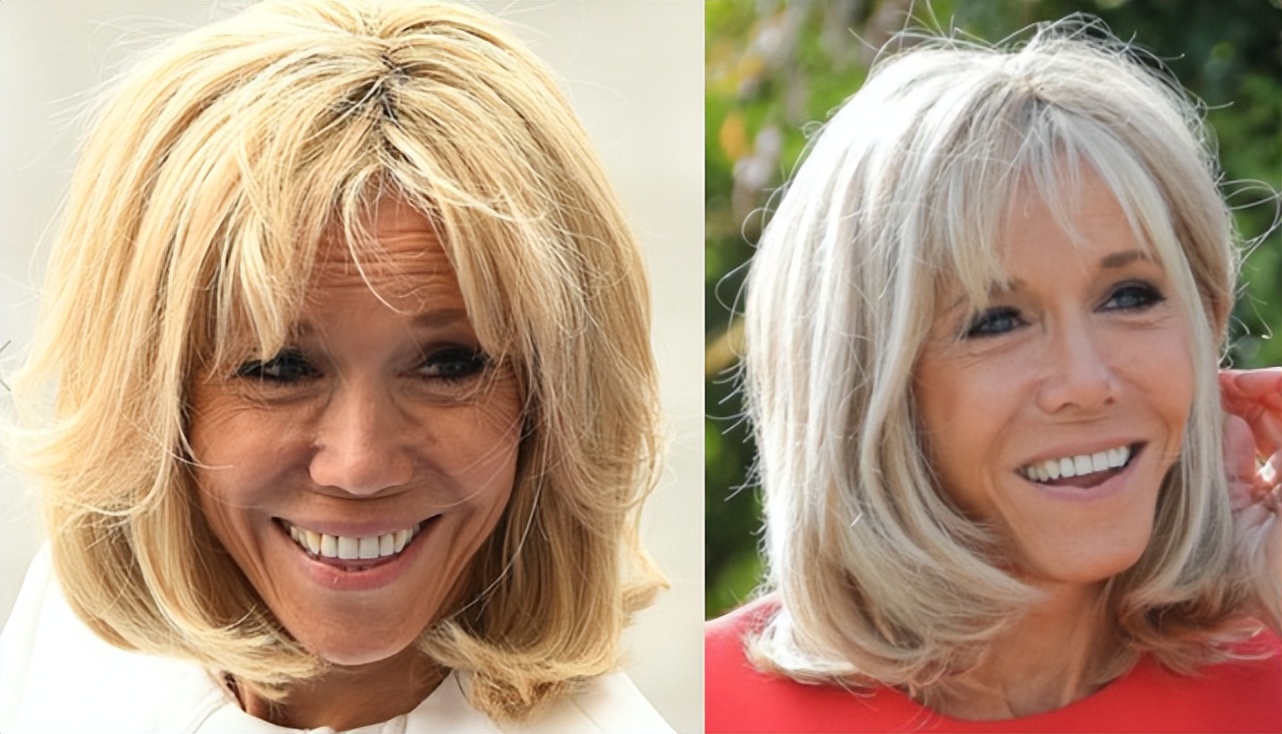 法国第一夫人的奢侈生活,法国第一夫人奢侈品