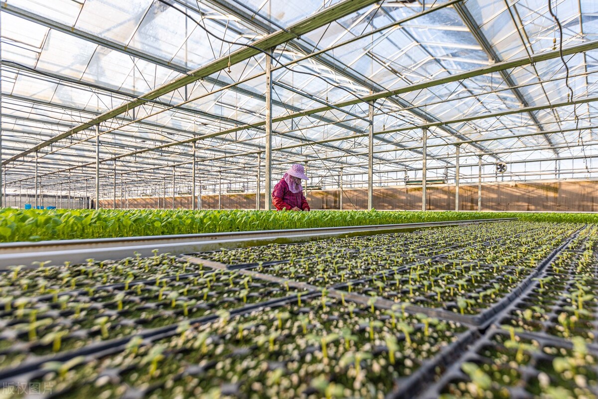 生态农业做什么最赚钱,生态农业前景如何