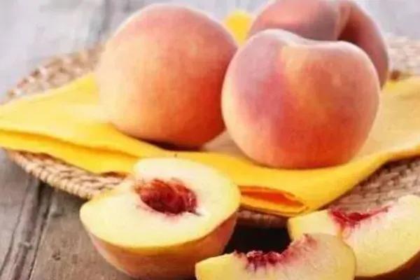 夏天开花的水果,夏天的水果图片