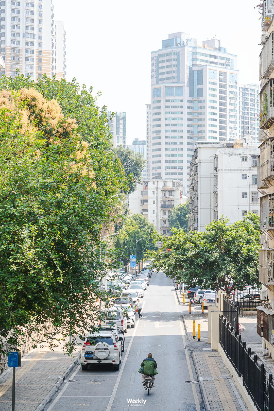 好好走过红荔路，才知道住福田有多让人羡慕