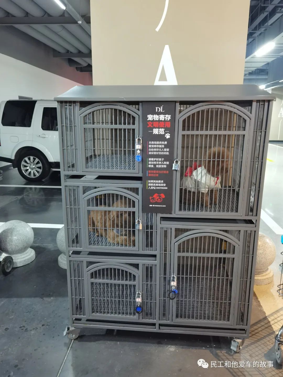 许昌胖东来天使城哪年开业的,来许昌胖东来去哪个店