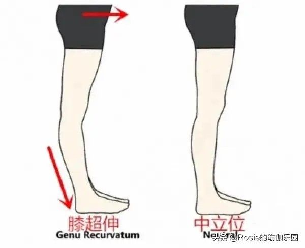 大腿小腿瘦的最快动作,如何瘦大腿和小腿动作图解